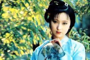 陈大康:黛玉家产之谜(上)